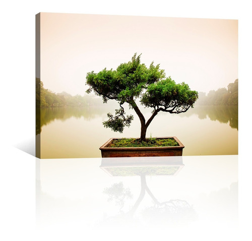 Cuadro Decorativo Zen Y Buda Canvas Arbol Bonsai Japones