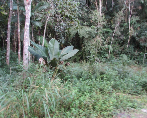 Imagem 19 de 21 de Terreno - 04611 - 33229241