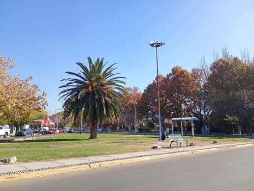 Alquiler Departamento A Estrenar, Luzuriaga, Maipú