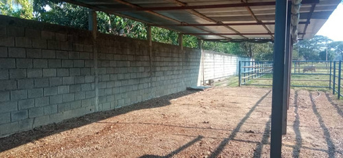 Imagen 6 de 26 de Finca En Apartadero - Cojedes