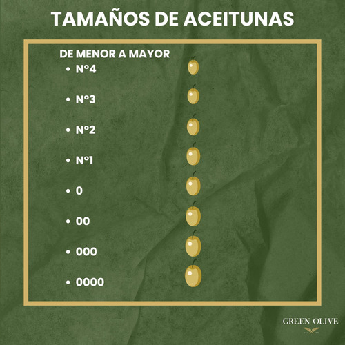 Aceitunas Verdes N°2 Green Olive 2kg