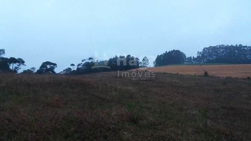 Imagem 1 de 10 de Chácara À Venda Em Vidal Ramos/sc - 1454c