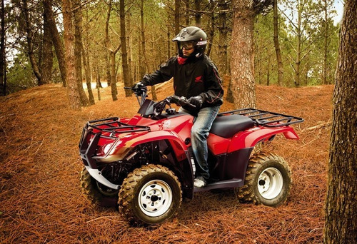 Cuatriciclo Honda Trx 250 Parrillero