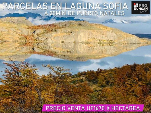 La Parcelación Mas Bella De Magallanes