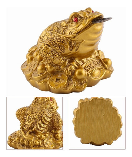 Mz Sapo De La Suerte De Feng Shui Wealth Decoración For El