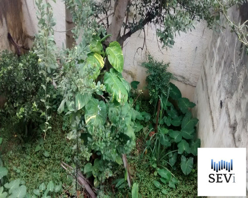 Imagem 23 de 26 de Casa - Ca00101 - 4542824