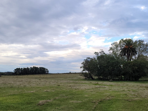 Imagen 6 de 20 de Venta De Hermosas Chacras: Barrio De Chacras El Colorado De Migues Ruta 88 A 10 Km. De Tapia Y 5 De Migues.