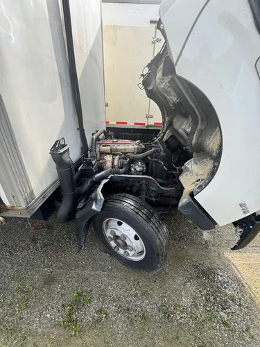 Hino 300 Dutro Refrigeración Nqr Npr 11500 Peso Báscula