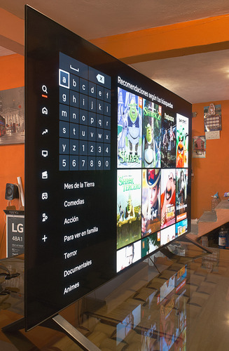Televisor Lg Oled 48'' 48a1psa (Usado)