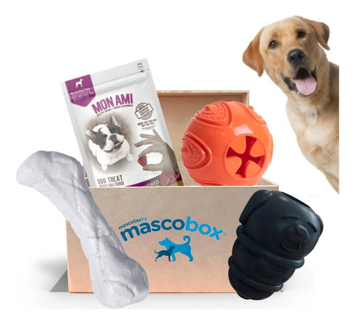 Mascobox Kit Juguetes Pelota Hueso Perros Grande Gigantes