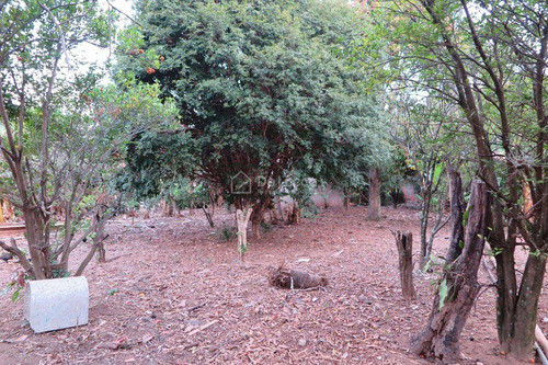 Imagem 17 de 22 de Chácara À Venda Em Parque Jatibaia (sousas) - Ch009861