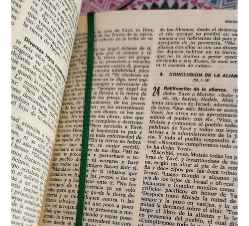 La Santa Biblia - Ediciones Paulinas (Usado)