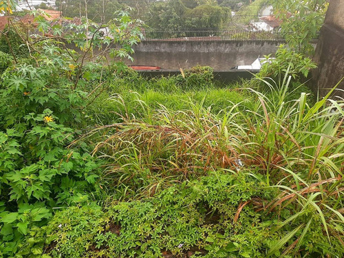 Imagem 7 de 8 de Terreno Com 300 M² Na Fazendinha - Teresópolis/rj. - Te00474 - 70812801