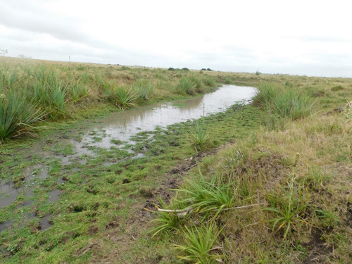 Venta De Campo En Maldonado - 35has Coneat 134