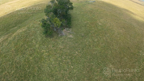 Campo En Venta - Rocha