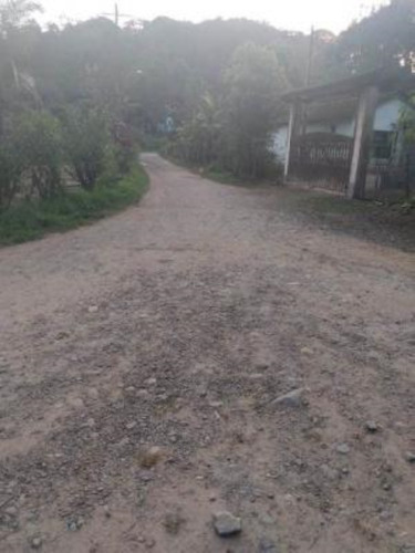 Imagem 18 de 19 de Sítio Em Itariri, Com 242.000 M² De Área Total E Com Diversas Árvores Frutíferas, 05 Nascentes E Riacho Com Pequena Cachoeira, Analisa Veículo Como Parte De Pagamento Ref: 7269/ac