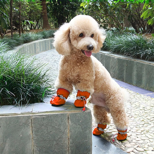 Botas Antideslizantes For Mascotas Perros Pequeños Y Gatos