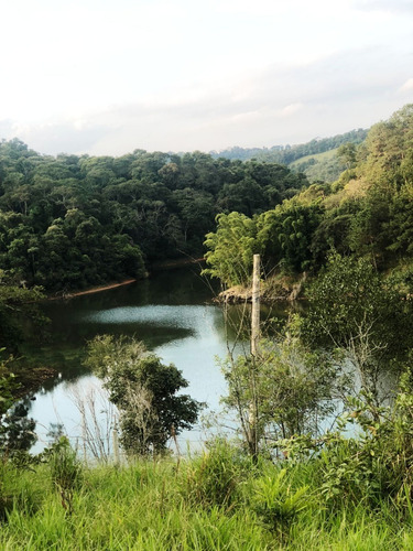 Imagem 24 de 30 de Sb- Lote A Venda