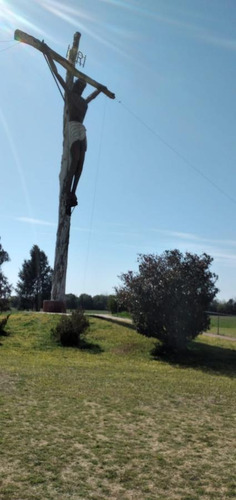 Imagen 4 de 7 de Campo - Pujato Norte