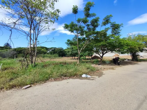 Lote En Venta En Bocono. Cod V28364