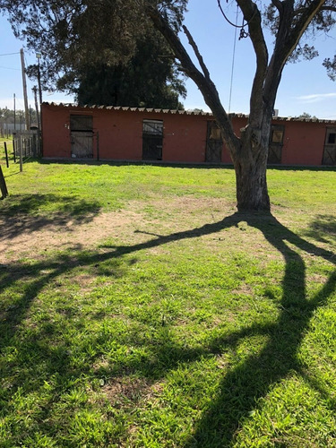 Imagen 19 de 24 de Lote Con Caballerizas Vende O Permuta