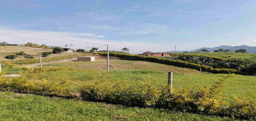 Lote En Venta Vía Santa Rosa Chinchina (279055500).