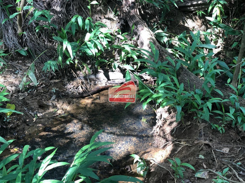 Chácara À Venda, Fazendinhas Amaro - Lagoa Santa/mg - 1393