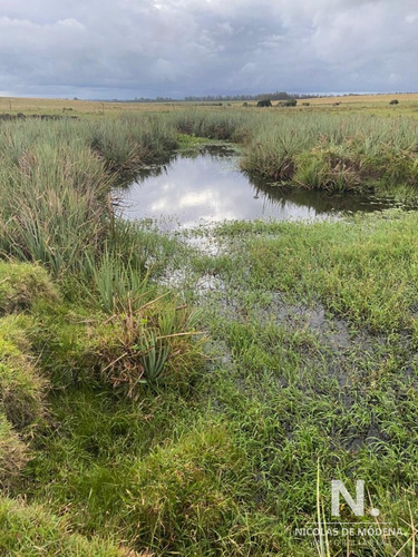 Vende Campo En Ruta 104. Punta Del Este 