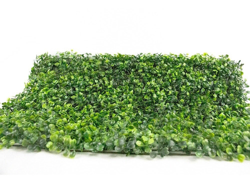 Imagen 3 de 8 de Muro Verde Follaje 10 Pzas Artificial Sintentico 60x40 Cm