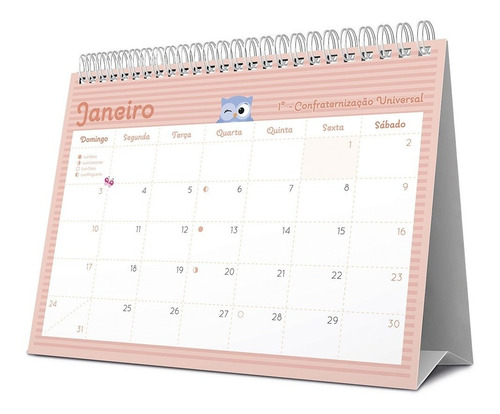 Calendário De Mesa 2021 Corujinhas 210511 Spiral Pt 1 Un