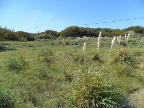 Imagen 11 de 14 de Lote Playa Grande San Clemente (cod 1076)
