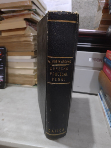 Derecho Procesal Penal Guillermo Borja Osorno Sf13 (Usado)