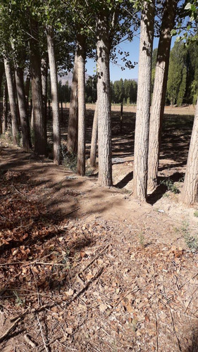 Terreno En Alamos Del Valle, Uspallate, Las Heras