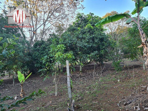 Imagem 16 de 30 de Ótima Chácara Com 4 Dormitórios, Edícula, Salão De Jogos, Pomar, Horta, Bem Localizada, À Venda, 5000 M² Por R$ 630.000 - Zona Rural - Pinhalzinho/sp - Ch0984