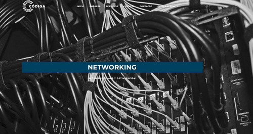 Servicio Tecnico Y Consultoria Informatica