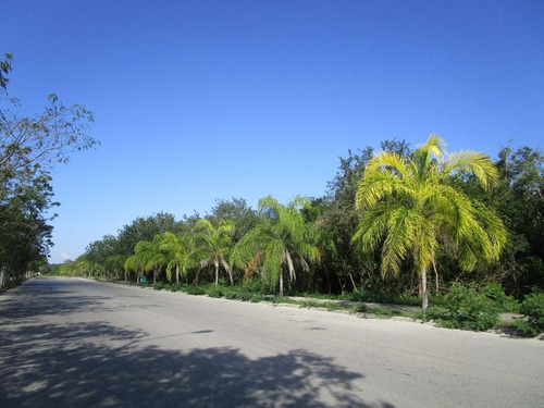 Lote Comercial En Los Arrecifes Playa Del Carmen C2377