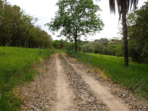 Imagem 6 de 16 de Terreno Residencial À Venda, Duas Marias, Jaguariúna. - Te0267