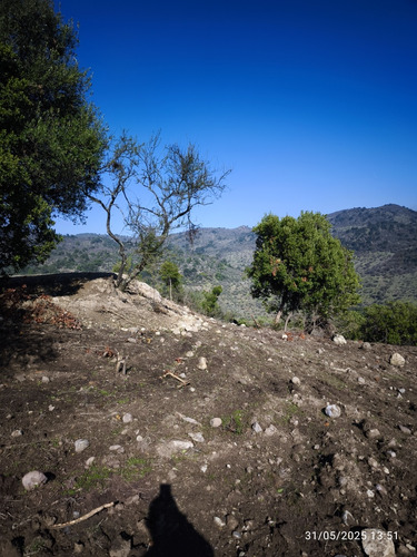 Se Vende Parcela 5000 Mts.