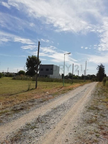 Imagen 24 de 30 de 147 Y 486 Lote En Venta, En Fincas Gorina.-