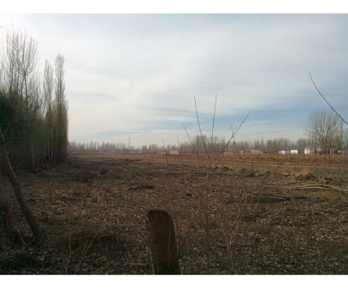 Imagen 7 de 15 de Terreno En Malargue Mendoza!