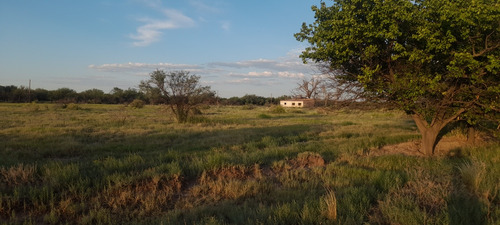 Finca 12.5 Ha. Gral. Alvear Mza. Financio. Tomo Vehículo.
