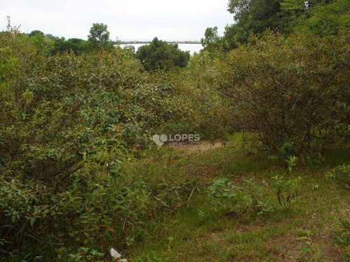 Imagem 3 de 3 de Terreno, 402 M² Por R$ 60.000 - Zacarias - Maricá/rj - Te1866