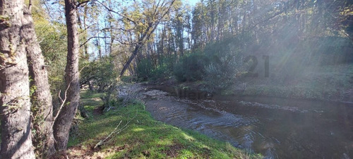 Imagen 2 de 11 de Lote De 1.759m2 Totalmente Plano En Las Balsas, Villa La Angostura