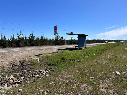 Oportunidad Parcela 5.000 Mts (93879)