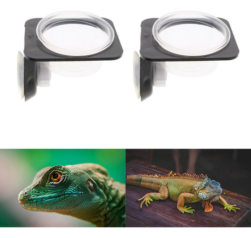 4 Uds De De Succión Gecko Alimentador De Esquina Ahorro De
