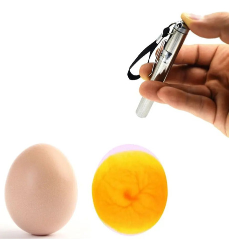 Lâmpada Observar Ovos Incubação Chocar Eggtester