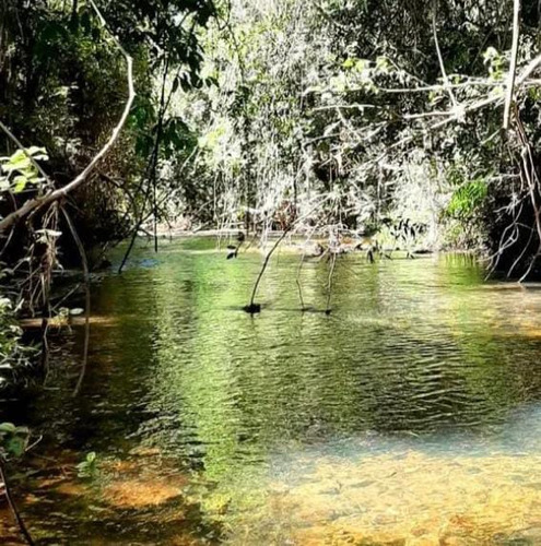 Chácara Juízo Final,próximo De Juscimeira 55km Rondonópolis