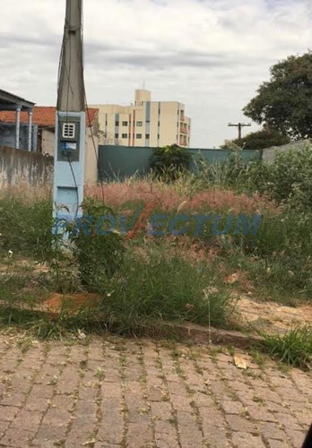 Imagem 1 de 3 de Terreno Para Aluguel Em Vila Anhangüera - Te250894