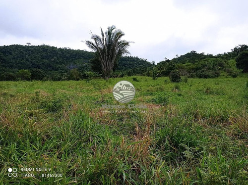 Imagem 6 de 9 de Venda Sítio Monte Negro Em Rondônia - Siv214