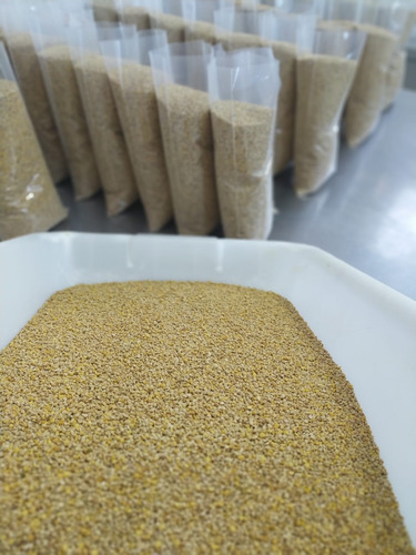 Pólen Apícola Desidratado 150g Nova Florada